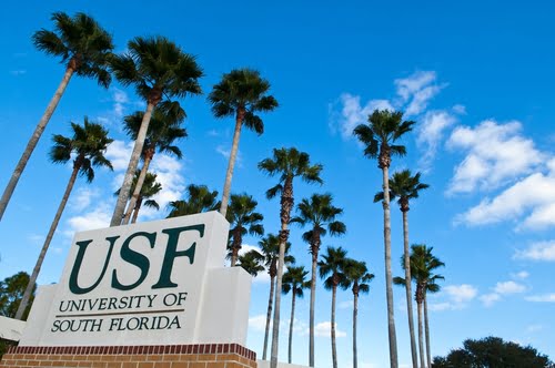  Beca de Pregrado en Estados Unidos – University of South Florida