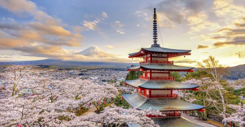  Becas para Docentes en Japón